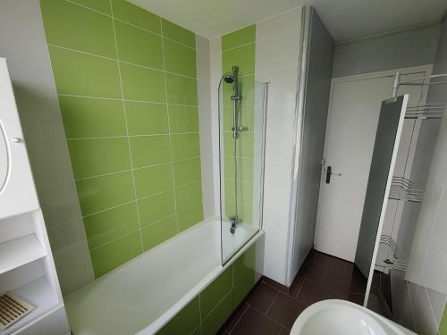 uma casa de banho verde com um chuveiro e um WC em Chambre Chez l'habitant - Chez Fab em Alençon
