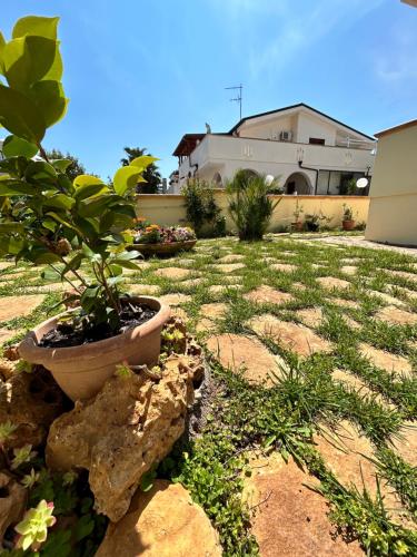 a potted plant sitting on a rock in a yard at Villa Teresa in Ginosa Marina