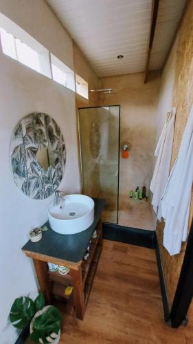 a bathroom with a sink and a shower at Forest Studio in Knysna