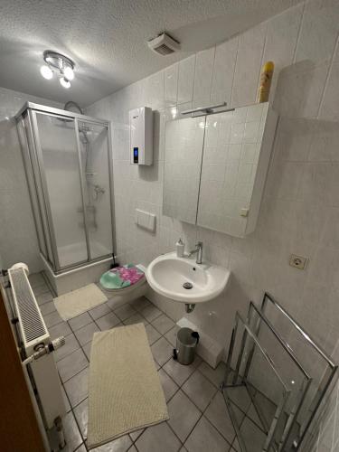 a bathroom with a sink and a shower at Ferienwohnung, Apartment, Monteurwohnung mit Klimaanlage Wettin - Löbejün 