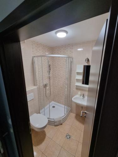 a bathroom with a shower and a toilet and a sink at Ádám Apartmanház in Siófok