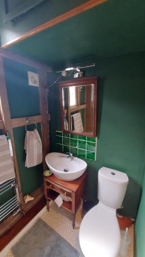 a green bathroom with a toilet and a sink at Brooklands Barn in Lower Swanwick