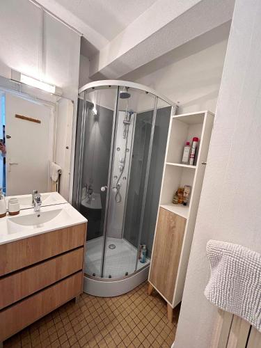 a bathroom with a shower and a sink at Vue Garonne - Stadium - Tramway in Toulouse