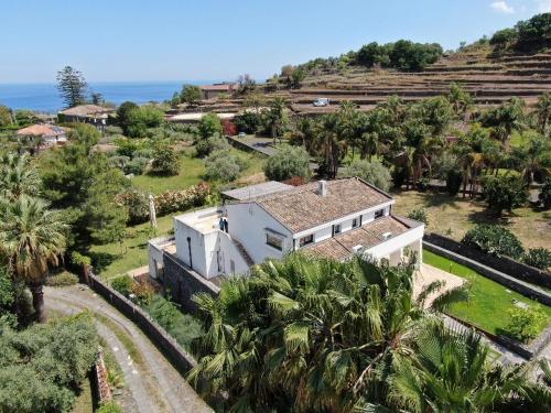 an aerial view of a house with palm trees and the ocean at PetraSicula Apartment in Acitrezza