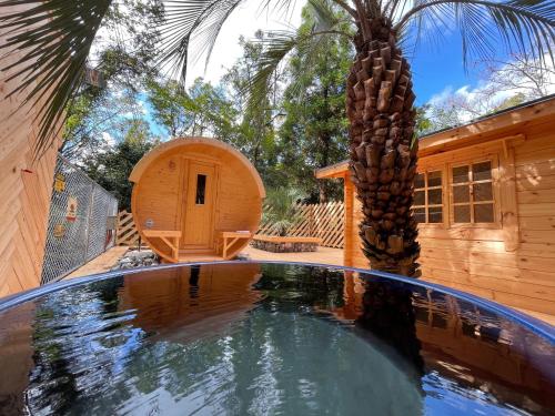 a swimming pool in front of a house with a palm tree at Kurasako Onsen Sakura in Minamioguni