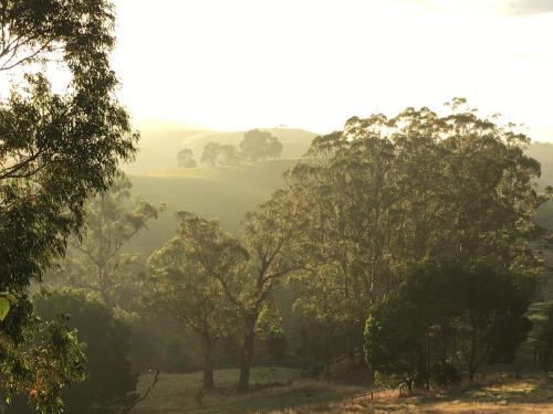 a view of a valley with trees in the foreground at Lush rural retreat in Korumburra