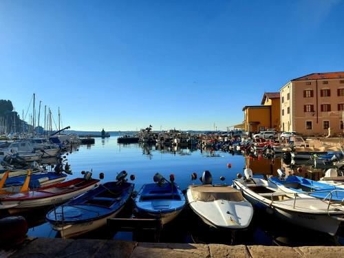 a bunch of boats are docked in a harbor at Apartment Sulle scale in Piran