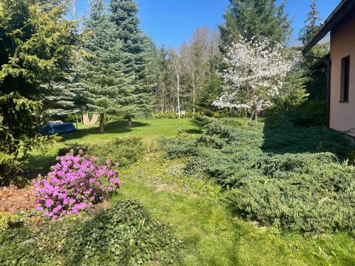 a garden with pink flowers in the grass at Dom Wakacyjny Myśliborka in Nowe Warpno