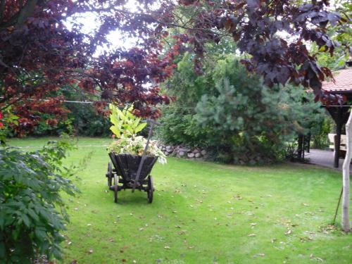Κήπος έξω από το Wohnung mit Kamin und idyllischem Garten
