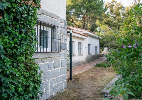 Zahrada ubytování Chalet con piscina en Torrelodones