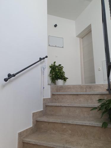 a stairway with a potted plant on it at Studio Apartman Rubinić in Lovran