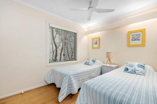 two beds in a room with a window at 1 36 Alderly Tce Little Cove in Noosa Heads