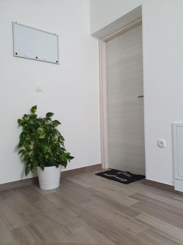 a plant sitting in a room next to a door at Studio Apartman Rubinić in Lovran