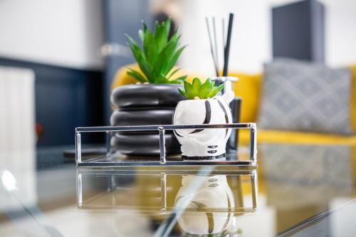 Designer Cardiff Apartments photo 8