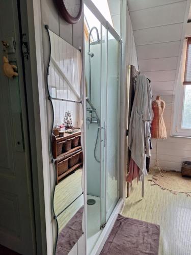 une salle de bain avec douche et miroir dans l'établissement Chambre chez l'habitant, au Mans