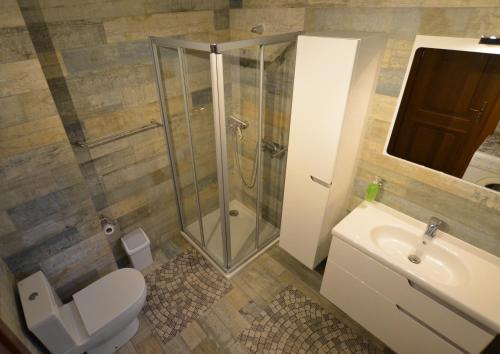 ein Bad mit einer Dusche, einem WC und einem Waschbecken in der Unterkunft Dom wakacyjny Jaśki in Trzcianka