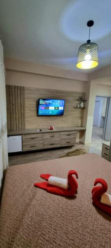 Delight Apartments Pogradec 303 - Imazhi 5