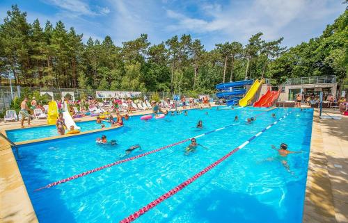 - un groupe de personnes se baignant dans une piscine dans l'établissement Ośrodek Wypoczynkowy NEPTUN, à Darłówko