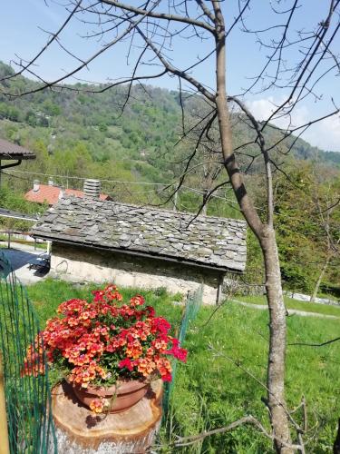 a stone building with a pot of red flowers at Chalet Niki BELLAGIO in Bellagio