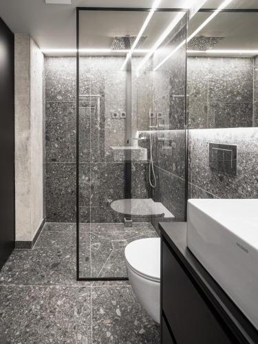 a bathroom with a shower and a toilet and a sink at Stylish Black and White loft in Kaunas