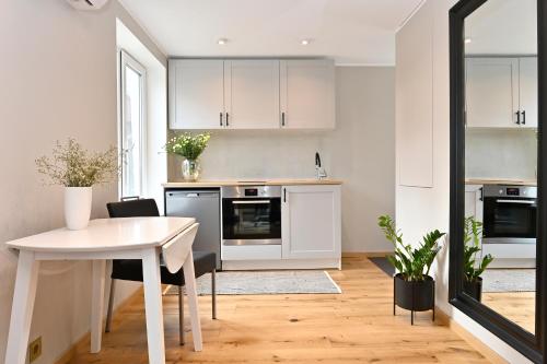 Kuchyň nebo kuchyňský kout v ubytování Private apartment