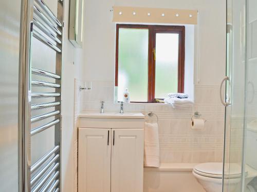 a bathroom with a sink and a toilet and a window at Oak View Cottage in Llangunllo