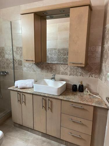 a bathroom with a sink and a shower at Apartment Belle Epoque in Lixouri