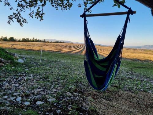 un hamac suspendu à un arbre dans un champ dans l'établissement les Lavandes dans le Luberon, à Brouville