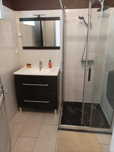 une salle de bain avec un lavabo et une douche dans l'établissement 