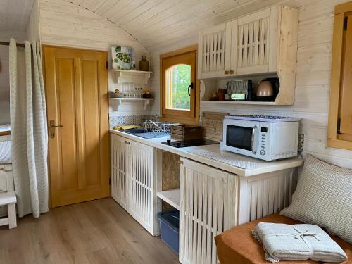 eine kleine Küche mit einer Mikrowelle auf der Theke in der Unterkunft Les Roulottes de l Herm Piscine Jacuzzi Perigord in Rouffignac Saint-Cernin