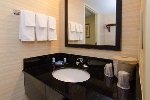 a bathroom with a sink and a mirror at Fairfield Inn Hartsville in Hartsville