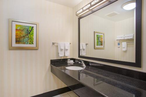 a bathroom with a sink and a large mirror at Fairfield Inn & Suites Cookeville in Cookeville