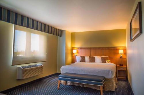 um quarto de hotel com uma cama e uma janela em Courtyard Aguadilla em Aguadilla