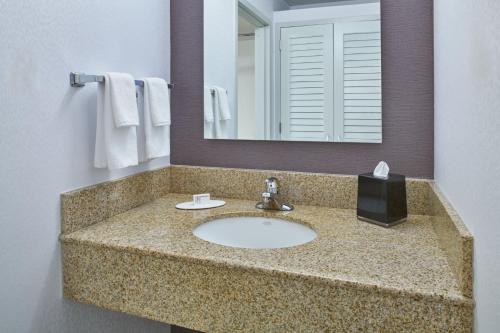 a bathroom with a sink and a mirror at Courtyard by Marriott Detroit Troy in Troy