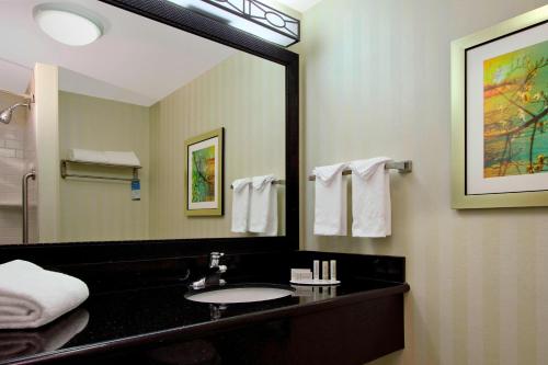 a bathroom with a sink and a large mirror at Fairfield Inn & Suites Fresno Clovis in Clovis