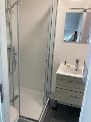 un bagno con doccia e lavandino di Studio cocooning et refait à neuf. Lyon 06 a Lione