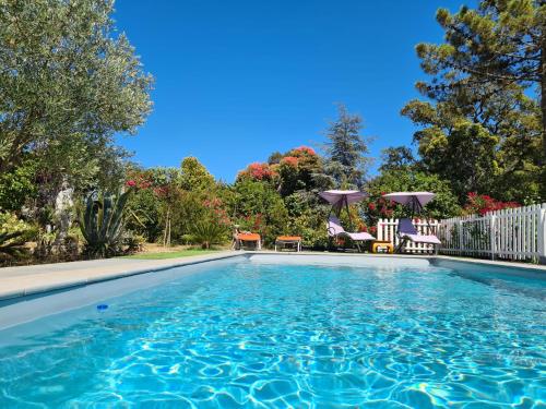 Una piscina con agua azul en un patio. en Casa San Niolo, en Cervione