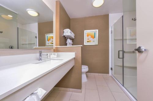 uma casa de banho com um lavatório e um WC em Fairfield Inn & Suites by Marriott Coralville em Coralville