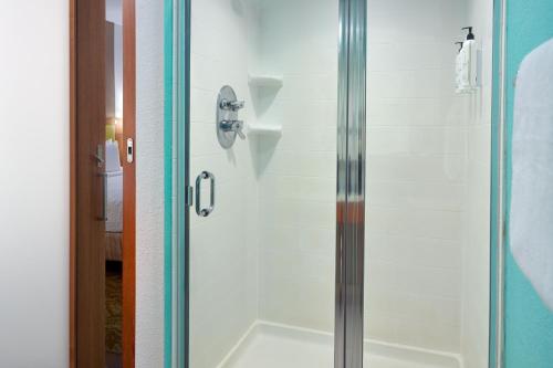 a shower with a glass door next to a bathroom at SpringHill Suites by Marriott Orlando at SeaWorld in Orlando