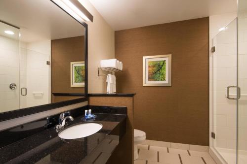 a bathroom with a sink and a mirror and a toilet at Fairfield Inn & Suites by Marriott Fort Wayne Southwest in Ellison