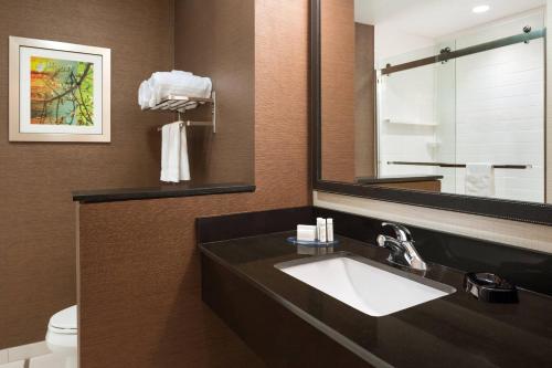 a bathroom with a sink and a mirror at Fairfield Inn & Suites by Marriott Bristol in Bristol