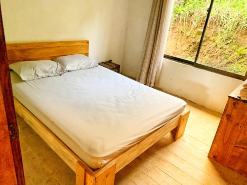 Casa del Bambú – Photos 2