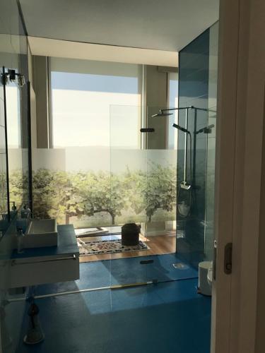 uma casa de banho com uma cabina de duche em vidro e um lavatório. em Vald'arêgos - Douro em Resende