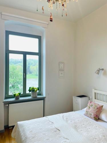 a bedroom with a white bed and a window at Ferienwohnung im Gästehaus in Meißen