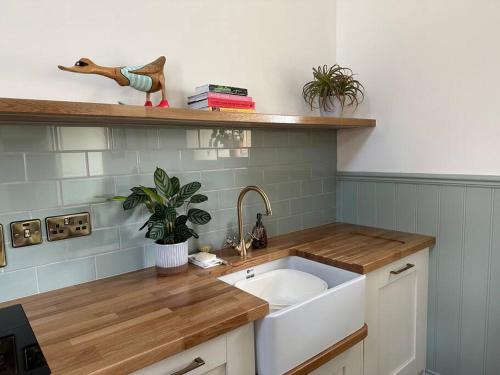 a kitchen with a sink and a wooden counter top at Murphy's Mountain Cottage in Clonmel