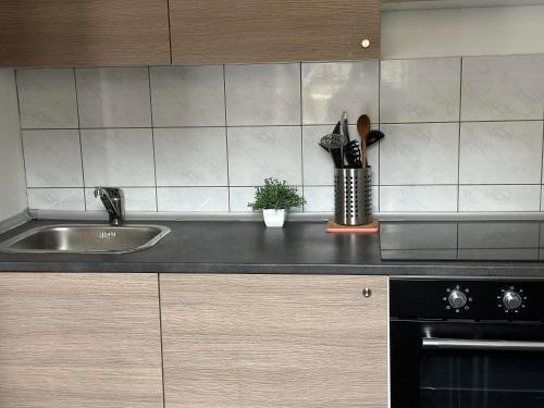 a kitchen counter with a sink and a stove at Guest House Iva in Senj