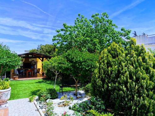 Villa SIA photo 14