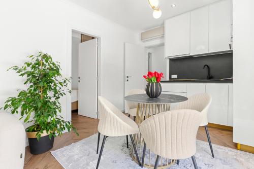 Kuchyň nebo kuchyňský kout v ubytování Dekaderon Lux Apartments