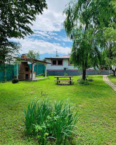 a park with a picnic bench and a house at Casa de vacanta 483A, Lacul Surduc in Fîrdea