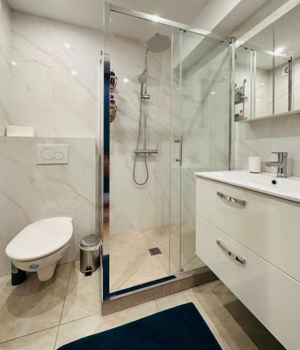 une salle de bain avec une douche, des toilettes et un lavabo dans l'établissement The NICE - 3 rooms, 3air cond, 3TV, 3fans, 2 wc, WIfi everywhere 5min aeroport, train, beach, 1min tram, 15 min centre, port, parking possible, à Nice